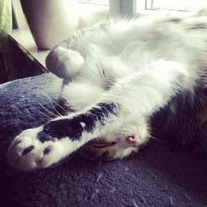 Maja  total entspannt