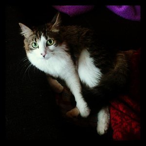 Findi in Model-Pose :)