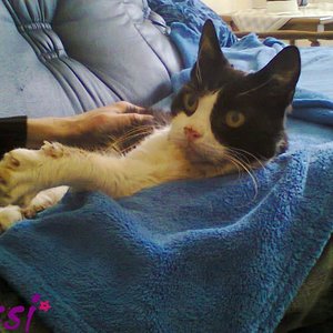 Sissi 1998 -2013 R.I.P <3