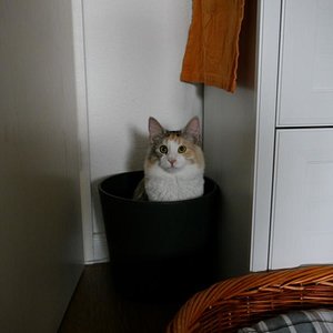 Unser liebes Mädchen.