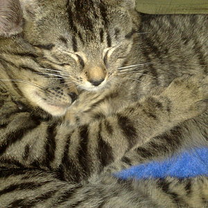 Maya und Thommy 31.01.2014 017