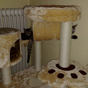 Maya und Thommy 31.01.2014 022