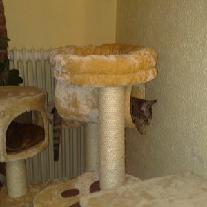 Maya und Thommy 31.01.2014 026