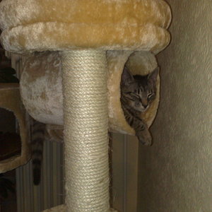 Maya und Thommy 31.01.2014 028