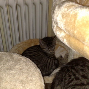 Maya und Thommy 31.01.2014 029