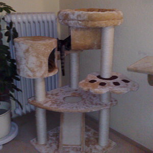 Maya und Thommy 31.01.2014 031