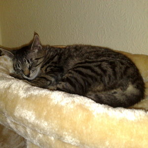 Maya und Thommy 31.01.2014 041