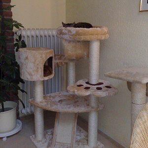 Maya und Thommy 31.01.2014 042