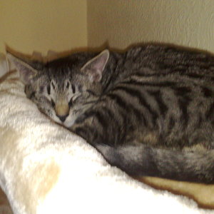 Maya und Thommy 31.01.2014 043