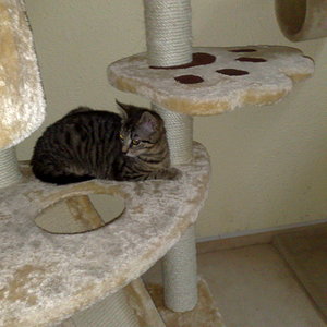 Maya und Thommy 31.01.2014 045