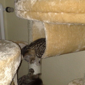 Maya und Thommy 31.01.2014 047