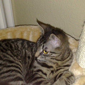 Maya und Thommy 31.01.2014 051