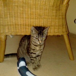 Maya und Thommy 31.01.2014 036