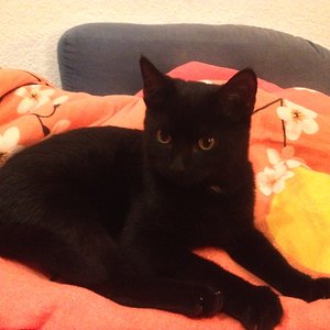 Der Tag, als er zu uns kam. Da war schon alles seins :D