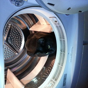 "Huch, da geht ja das Licht an, wenn man die Tür aufpfriemelt!" War wohl sehr interessant da drinnen. Wir haben ihn ewig gesucht und er hat keinen Mucks von sich gegeben :D