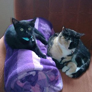 Unsere beiden Süßen.