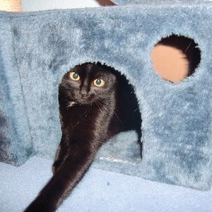 Susi in ihrer Höhle