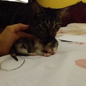 Kalee, Baby Nr. 1 und ihre Mama