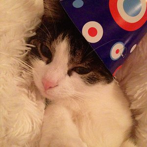 Vega wünscht ein schönes Silvester 2013/2014