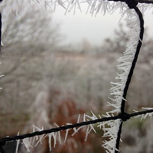 Ende November '13 gabs hier Frost. Eiskristalle am Katzennetz.