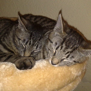 Maya und Thommy bis 18.02.2014 005