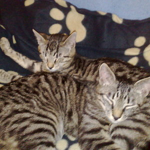 Maya und Thommy bis 18.02.2014 008