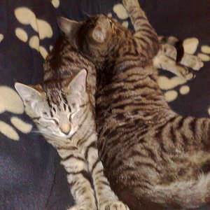 Maya und Thommy bis 18.02.2014 012