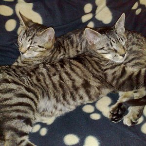 Maya und Thommy bis 18.02.2014 013