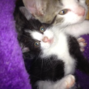 Wenige Tage nach dem Unfall