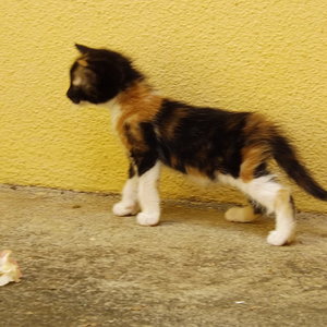 die Kleine bleibt bei uns