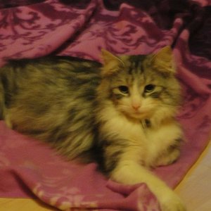 vermisse dich unheimlich