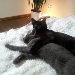 PicsArt 1397488381326[1]