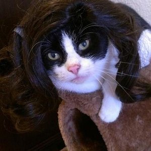 Emma geht zum Fasching