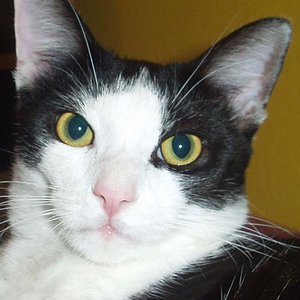 Bodo, mit ca. 7 Monaten.