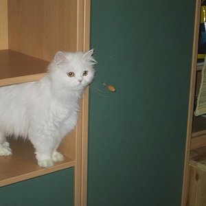 Isis 2 Monate nach ihrer Ankunft bei uns