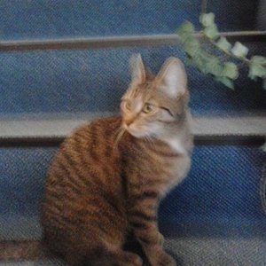 tapsiiiiiiiiiiiiiiiiiiiiiiiiiiiiiiiiiiiiiiiiiiiiiii