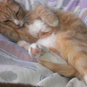 Sauber machen ist ganz wichtig :D