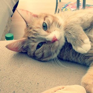 Er ist Bildhuebsch <3