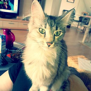 ..aber man ist ja auch neugierig :D