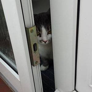 1897731 3890957368765 1191504328 n