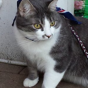 10246344 4056856436138 2804419876815191421 n