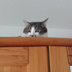 10308212 4088667631398 6610825031585942040 n