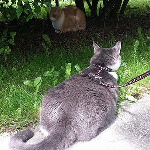 10247280 516122981832674 6271254613837310824 n