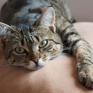 Das sieht doch aus als müsste man sich gleich dazu legen, oder?