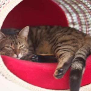 Ich könnte ihr stundenlang beim Schlafen zusehen.