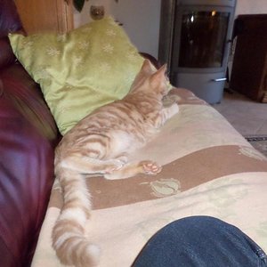 hier ist die Welt noch in Ordnung