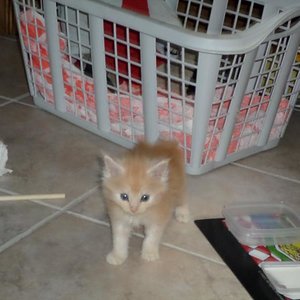 so süß kann man sein