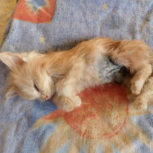 und so schnell kann ein Leben zu Ende gehen