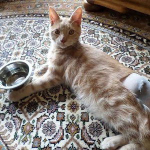 Fressen und Saufen klappt schon wieder...