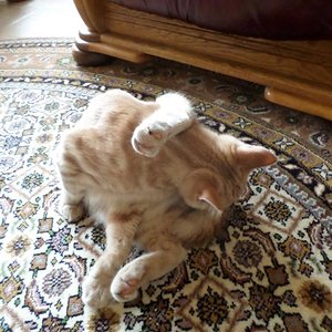 und das bekomme ich auch schon wieder hin